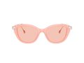 Swarovski Gafas de Sol SK 6010 1041/5