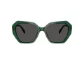 Swarovski Gafas de Sol SK 6017 104587