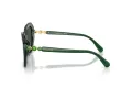Swarovski Gafas de Sol SK 6017 104587