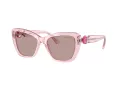 Swarovski Gafas de Sol SK 6018 30017N