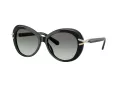 Swarovski Gafas de Sol SK 6026 100111