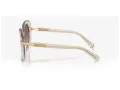 Swarovski Gafas de Sol SK 6026 30038H
