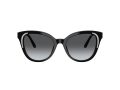 Swarovski Gafas de Sol SK 6031 1001T3