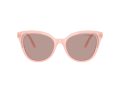 Swarovski Gafas de Sol SK 6031 10317N