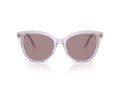 Swarovski Gafas de Sol SK 6031 1079LA