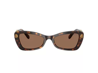 Swarovski Gafas de Sol SK 6033 100273
