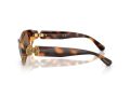 Swarovski Gafas de Sol SK 6036U 100273