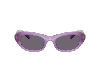 Swarovski Gafas de Sol SK 6036U 10751A