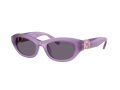 Swarovski Gafas de Sol SK 6036U 10751A