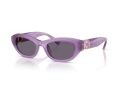 Swarovski Gafas de Sol SK 6036U 10751A