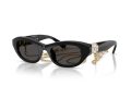 Swarovski Gafas de Sol SK 6036U 107687