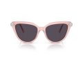 Swarovski Gafas de Sol SK 6039 1041P5