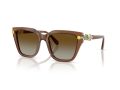 Swarovski Gafas de Sol SK 6041 1067T5