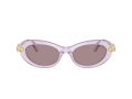 Swarovski Gafas de Sol SK 6042 1079LA