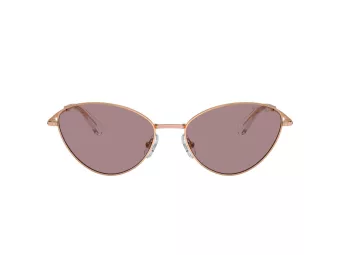 Swarovski Gafas de Sol SK 7014 40147N