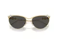 Swarovski Gafas de Sol SK 7017 400487