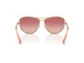 Swarovski Gafas de Sol SK 7028 4004A5