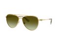 Swarovski Gafas de Sol SK 7031 4017E8
