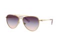 Swarovski Gafas de Sol SK 7031 4036U7