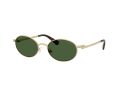 Swarovski Gafas de Sol SK 7033 400471