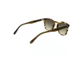 Scotch & Soda Gafas de Sol SS 8018 193