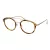Taylor Morris Gafas Graduadas SW 14 C3