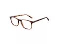 Taylor Morris Gafas Graduadas SW 16 C2
