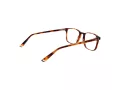 Taylor Morris Gafas Graduadas SW 16 C2