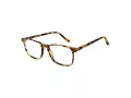 Taylor Morris Gafas Graduadas SW 16 C3