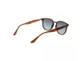 Ted Baker Gafas de Sol TB 1655 949