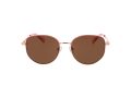 Ted Baker Gafas de Sol TB 1678 401