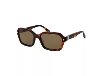 Ted Baker Gafas de Sol TB 1697 101