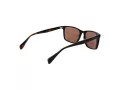 Ted Baker Gafas de Sol TB 1728 001