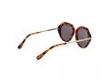 Ted Baker Gafas de Sol TB 1731 188