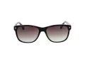 Ted Baker Gafas de Sol TB 1753 119