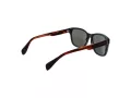 Ted Baker Gafas de Sol TB 1753 599