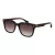 Ted Baker Gafas de Sol TB 1754 119