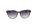Ted Baker Gafas de Sol TB 1763 702