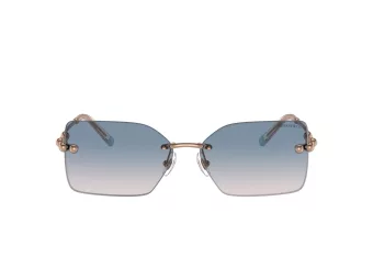 Tiffany Gafas de Sol TF 3088 610516