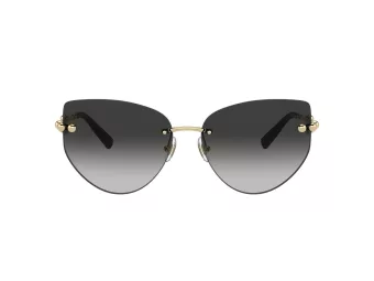 Tiffany Gafas de Sol TF 3096 60213C