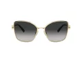 Tiffany Gafas de Sol TF 3102B 60213C