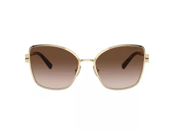 Tiffany Gafas de Sol TF 3102B 61893B