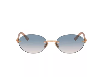 Tiffany Gafas de Sol TF 3104D 621716