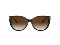 Tiffany Gafas de Sol TF 4178 80153B