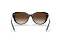 Tiffany Gafas de Sol TF 4178 80153B
