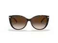 Tiffany Gafas de Sol TF 4178 80153B