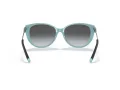 Tiffany Gafas de Sol TF 4178 8055T3