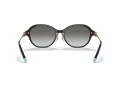 Tiffany Gafas de Sol TF 4188D 80013C