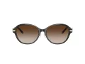 Tiffany Gafas de Sol TF 4188D 81343B