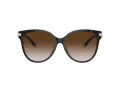 Tiffany Gafas de Sol TF 4193B 81343B